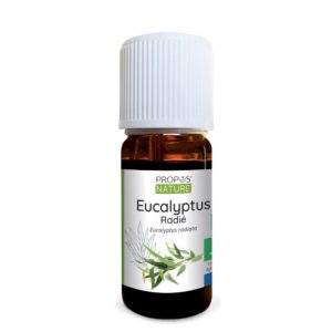 Óleo Essencial de Eucalipto Bio 10ml